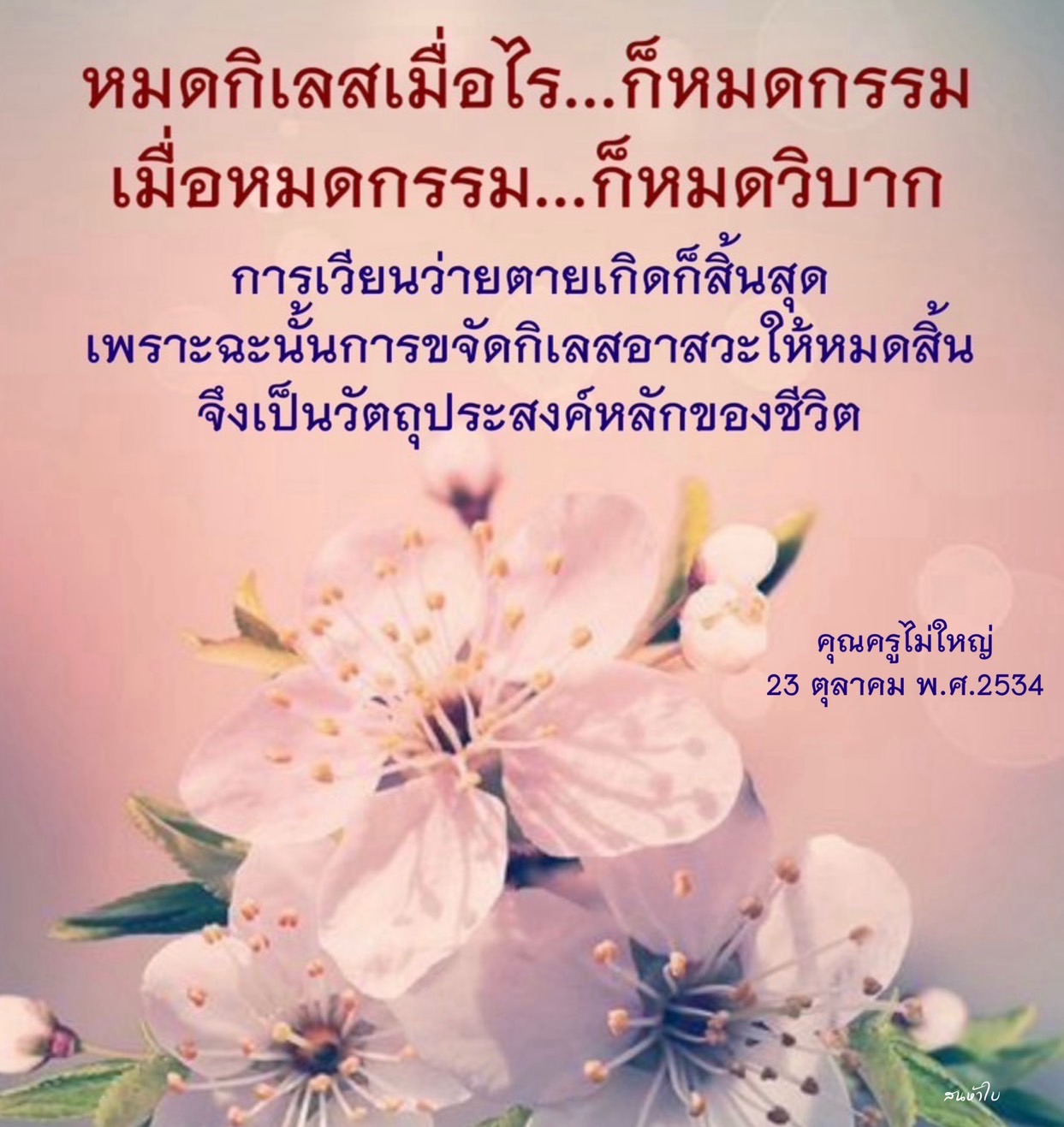 ภาพ No.16556:ทั่วไป