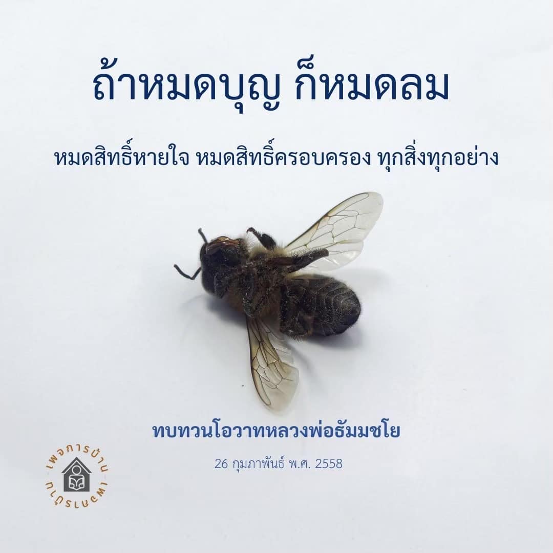 อ่านบทความเกี่ยวกับเพอรี่ กเกร และทบทวนโอวาทของหลวงพ่อธัมมชโย ที่กล่าวถึงความสำคัญของบุญและการมีชีวิตอยู่ พร้อมแง่คิดที่ทำให้เราตระหนักถึงคุณค่าของชีวิตและการครอบครองสิ่งต่างๆ ในวันที่ 26 กุมภาพันธ์ พ.ศ. 2558