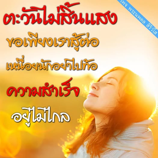 การ์ด No.14439:พระนพดล สิริวํโส