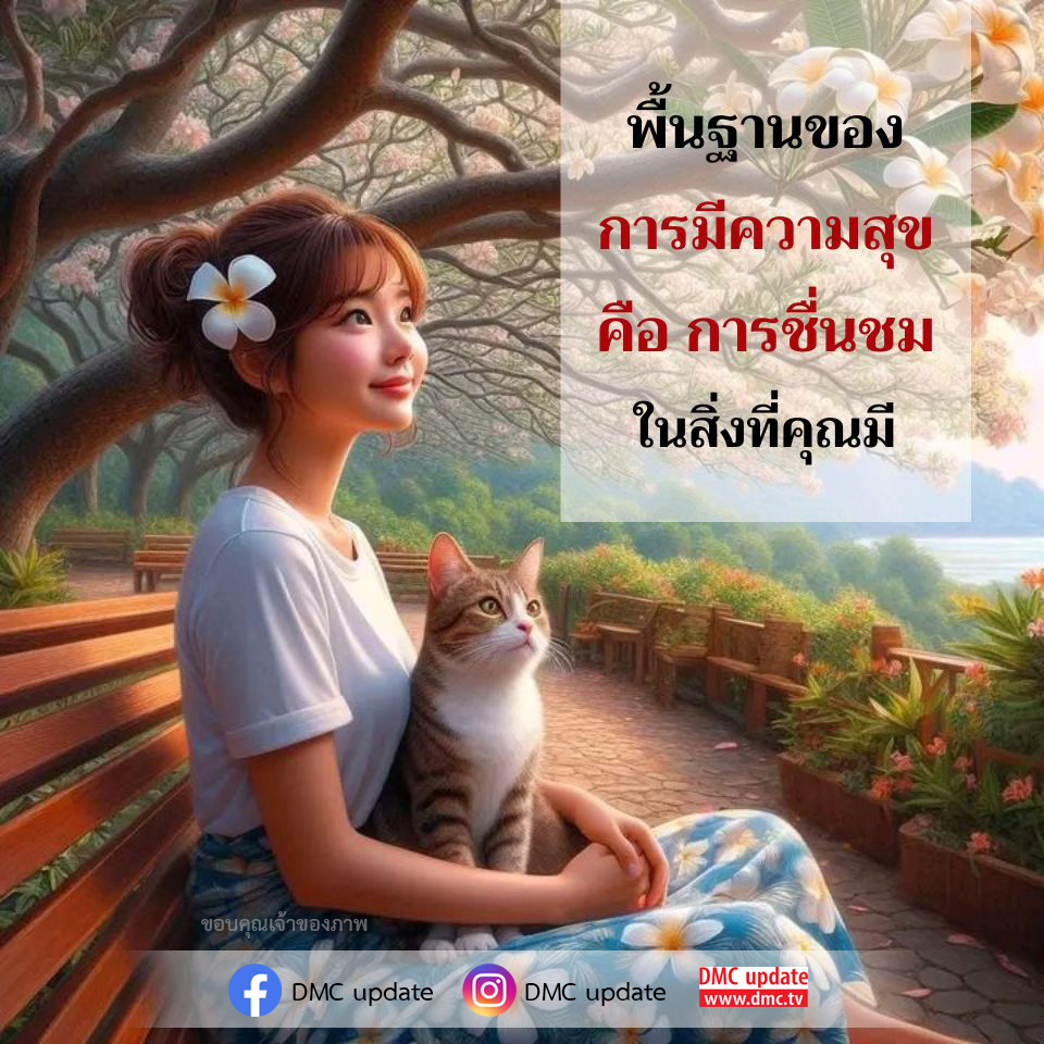 ค้นพบพื้นฐานของความสุขด้วยการชื่นชมในสิ่งที่คุณมี พร้อมแนวคิดและเคล็ดลับจาก DMC update เพื่อสร้างความสุขในชีวิตประจำวัน