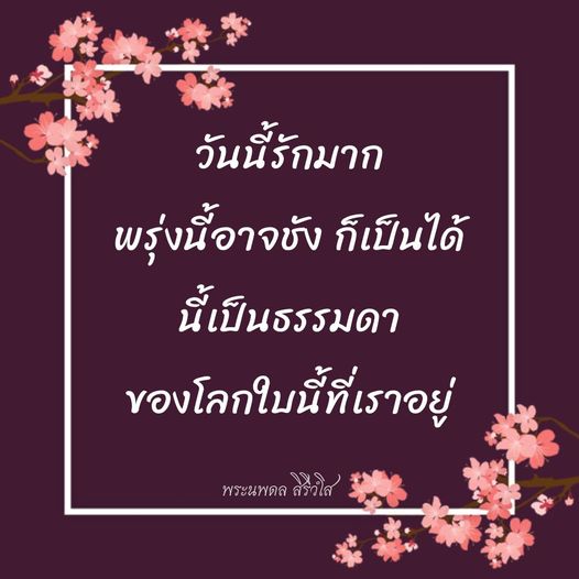 การ์ด No.8954:พระนพดล สิริวํโส