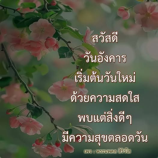 การ์ด No.11538:ภาพสวัสดียามเช้า