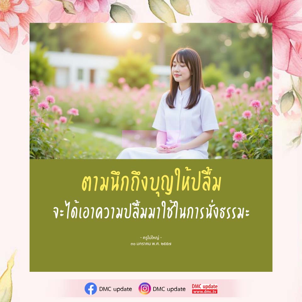 ภาพ No.16489:ทั่วไป