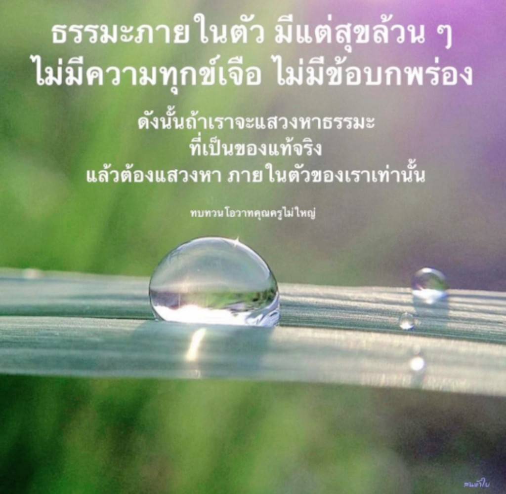 ค้นพบธรรมะภายในตัวเองเพื่อความสุขที่แท้จริง ไม่มีความทุกข์และข้อบกพร่อง ผ่านการทบทวนโอวาทจากคุณครูไม่ใหญ่ เรียนรู้วิธีการแสวงหาธรรมะที่แท้จริงภายในตัวคุณ