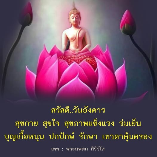 ร่วมส่งความสุขในวันอังคารนี้ ด้วยคำอวยพรที่เต็มไปด้วยความรักและความปรารถนาดีจากพระนพดล สิริวํโส เพื่อสุขกาย สุขใจ และสุขภาพที่แข็งแรง พร้อมด้วยการปกปักษ์รักษาจากเทวดาคุ้มครอง