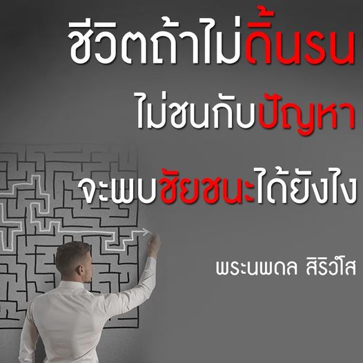 การ์ด No.10578:พระนพดล สิริวํโส