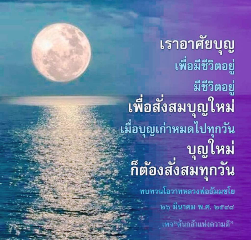 ค้นพบวิธีการสั่งสมบุญใหม่ทุกวันเพื่อสร้างชีวิตที่ดีขึ้น ผ่านการทบทวนโอวาทจากหลวงพ่อธัมมชโย ในเพจ 'ต้นกล้าแห่งความดี' ที่จะช่วยให้คุณเข้าใจความสำคัญของบุญในชีวิตประจำวัน.