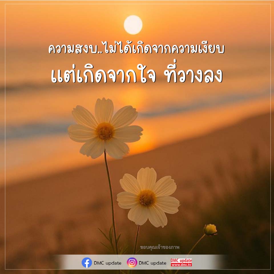 ภาพ No.16846:ทั่วไป