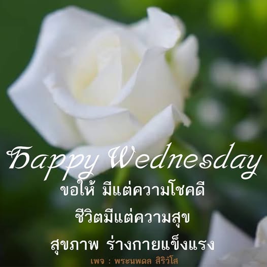 การ์ด No.14266:ภาพสวัสดียามเช้า