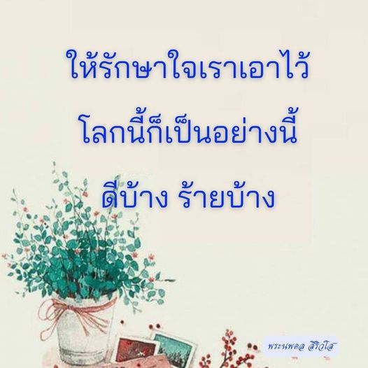 การ์ด No.11575:พระนพดล สิริวํโส