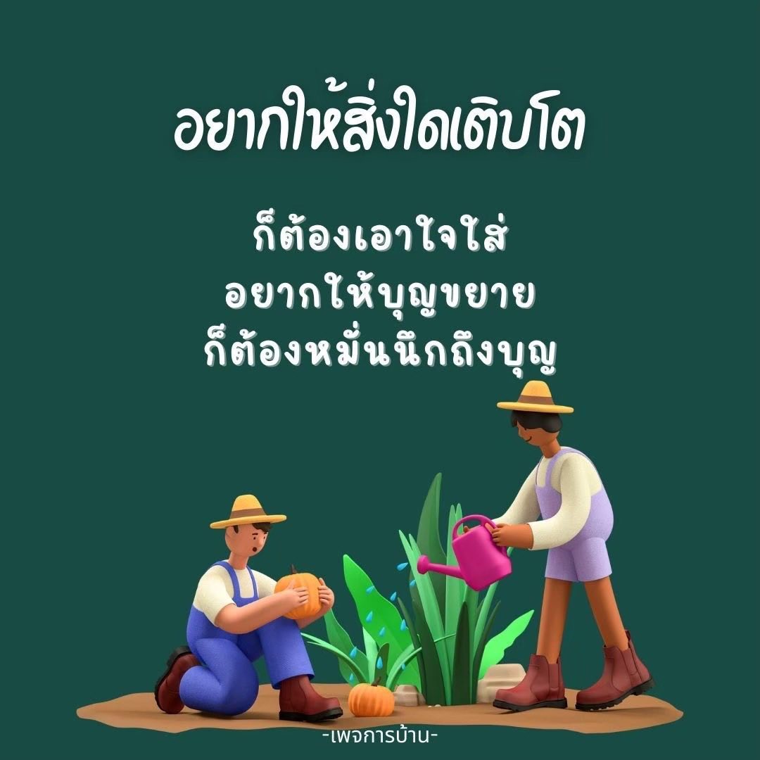ภาพ No.17873:ทั่วไป