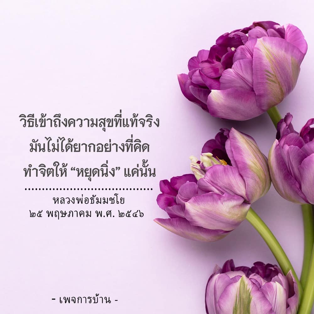 ค้นพบวิธีเข้าถึงความสุขที่แท้จริงด้วยการทำจิตให้หยุดนิ่ง ตามแนวทางของหลวงพ่อธัมมชโย เรียนรู้เทคนิคง่ายๆ ที่จะช่วยให้คุณมีชีวิตที่มีความสุขและสงบสุขมากขึ้น