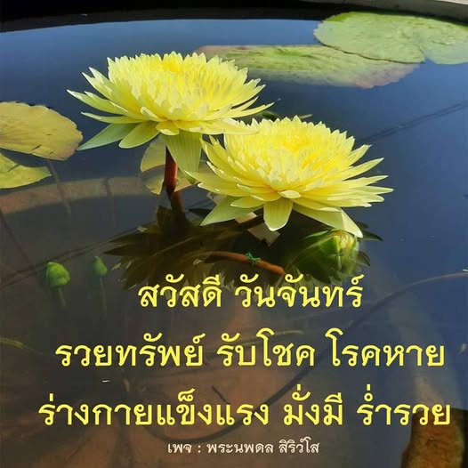 การ์ด No.12326:ภาพสวัสดียามเช้า