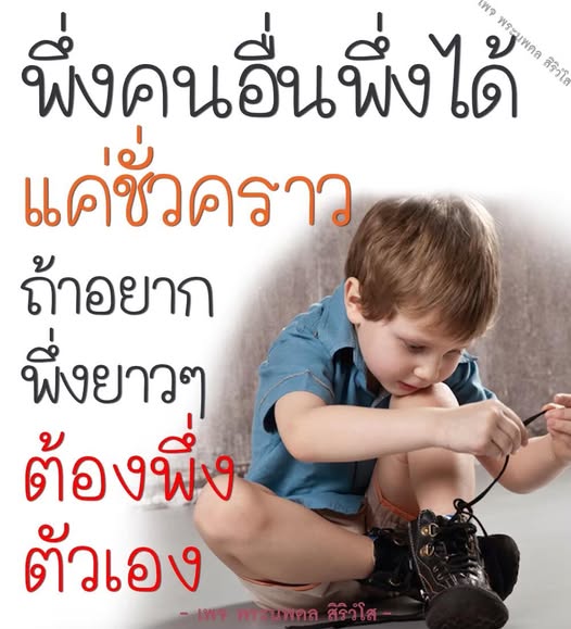 การ์ด No.11715:พระนพดล สิริวํโส