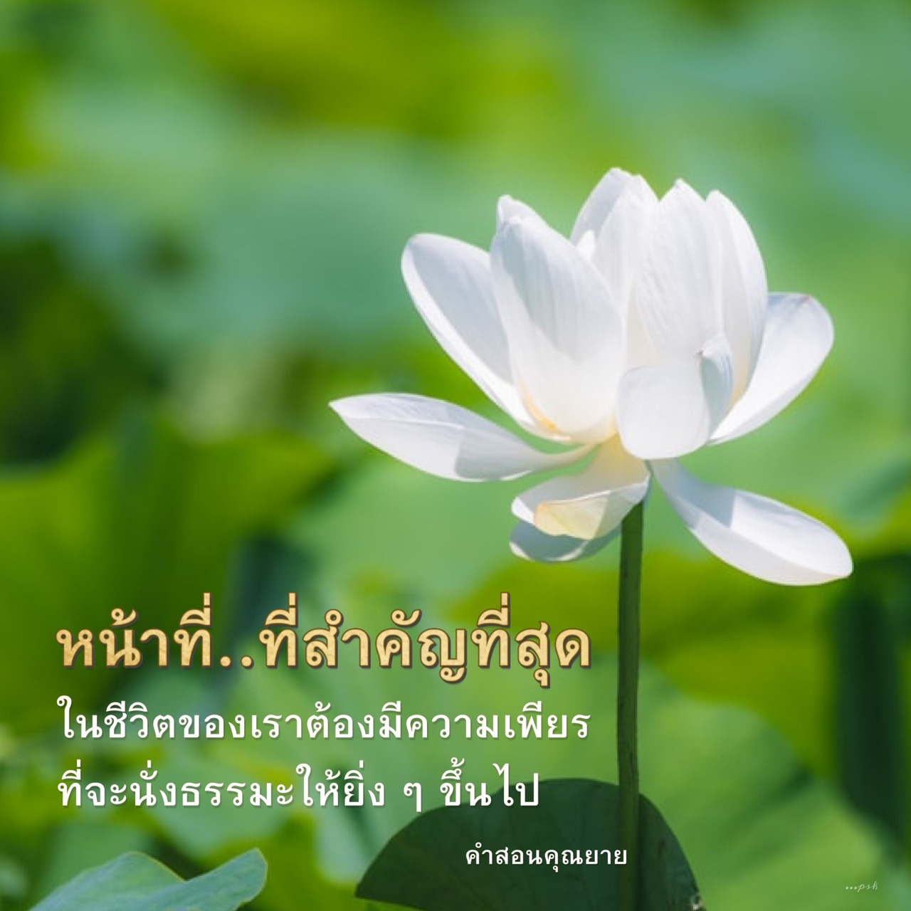 ความสำคัญของความเพียรในชีวิต: คำสอนจากคุณยาย