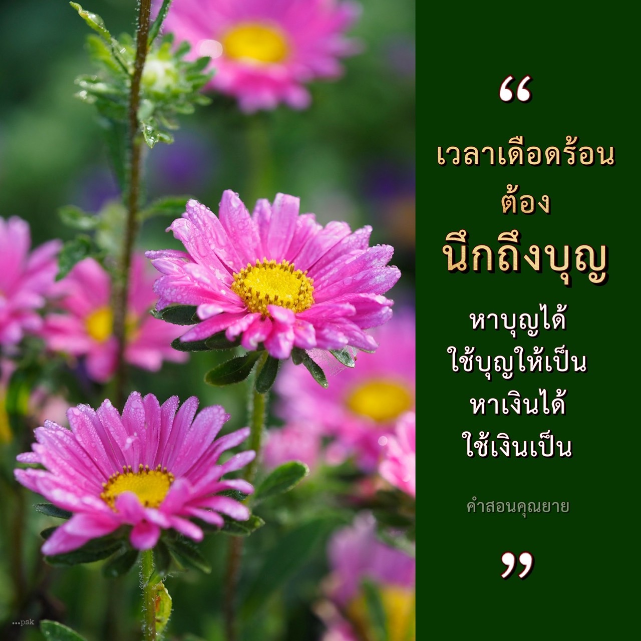 การ์ด No.13881:คำสอนคุณยาย