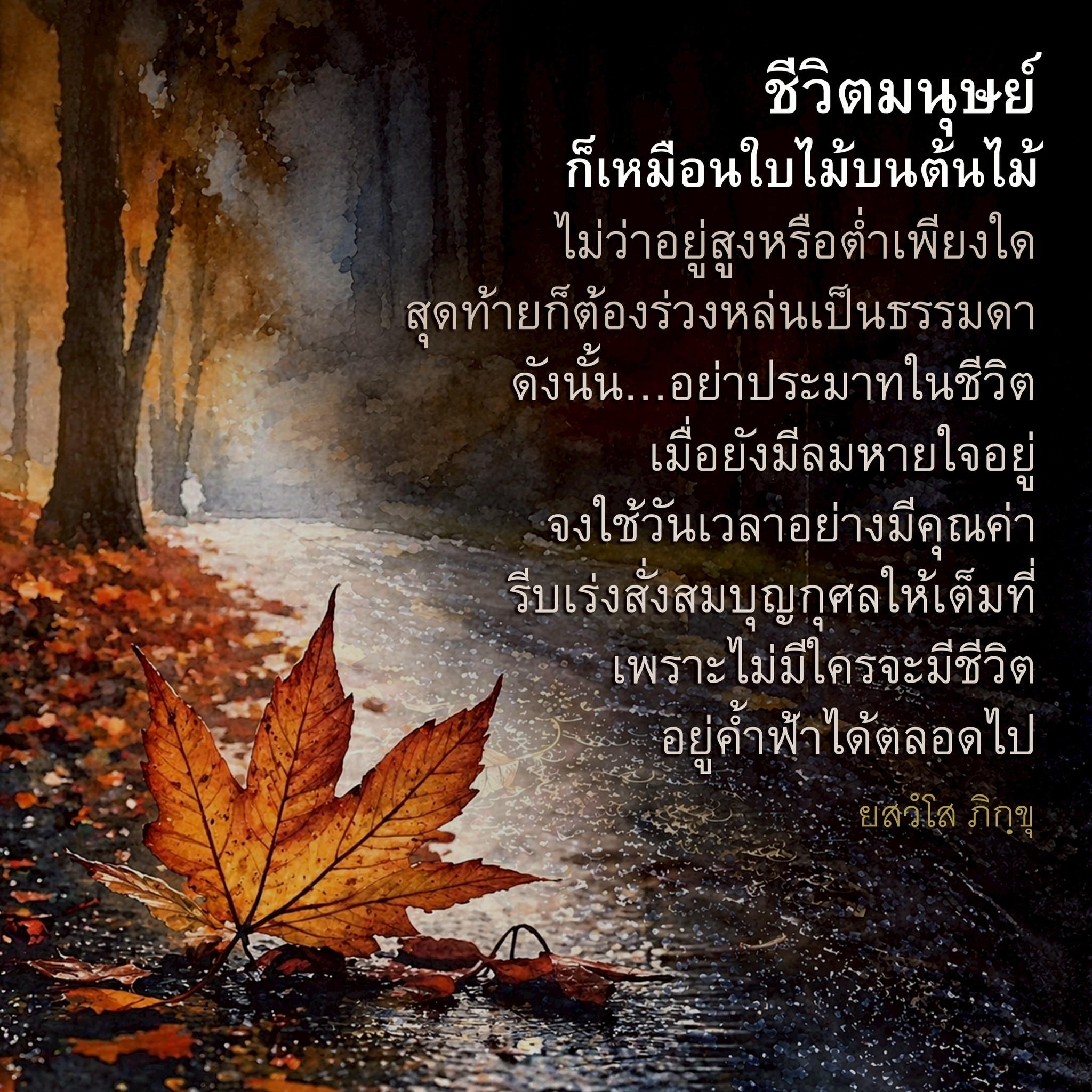 ชีวิตมนุษย์: การใช้ชีวิตอย่างมีคุณค่า