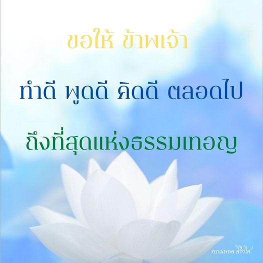 การ์ด No.11213:พระนพดล สิริวํโส