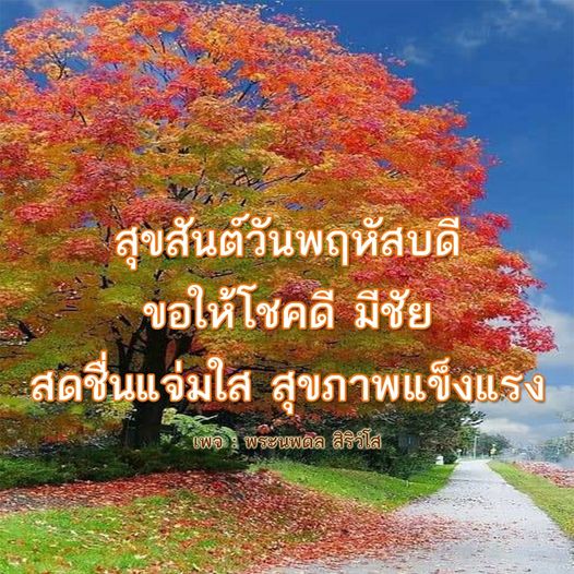 การ์ด No.11434:ภาพสวัสดียามเช้า