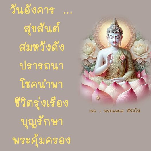 การ์ด No.9275:ภาพสวัสดียามเช้า