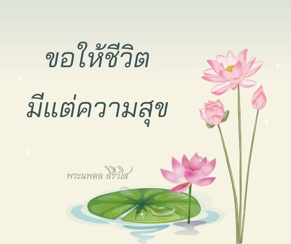 การ์ด No.10807:พระนพดล สิริวํโส