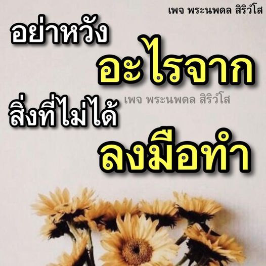 การ์ด No.10368:พระนพดล สิริวํโส