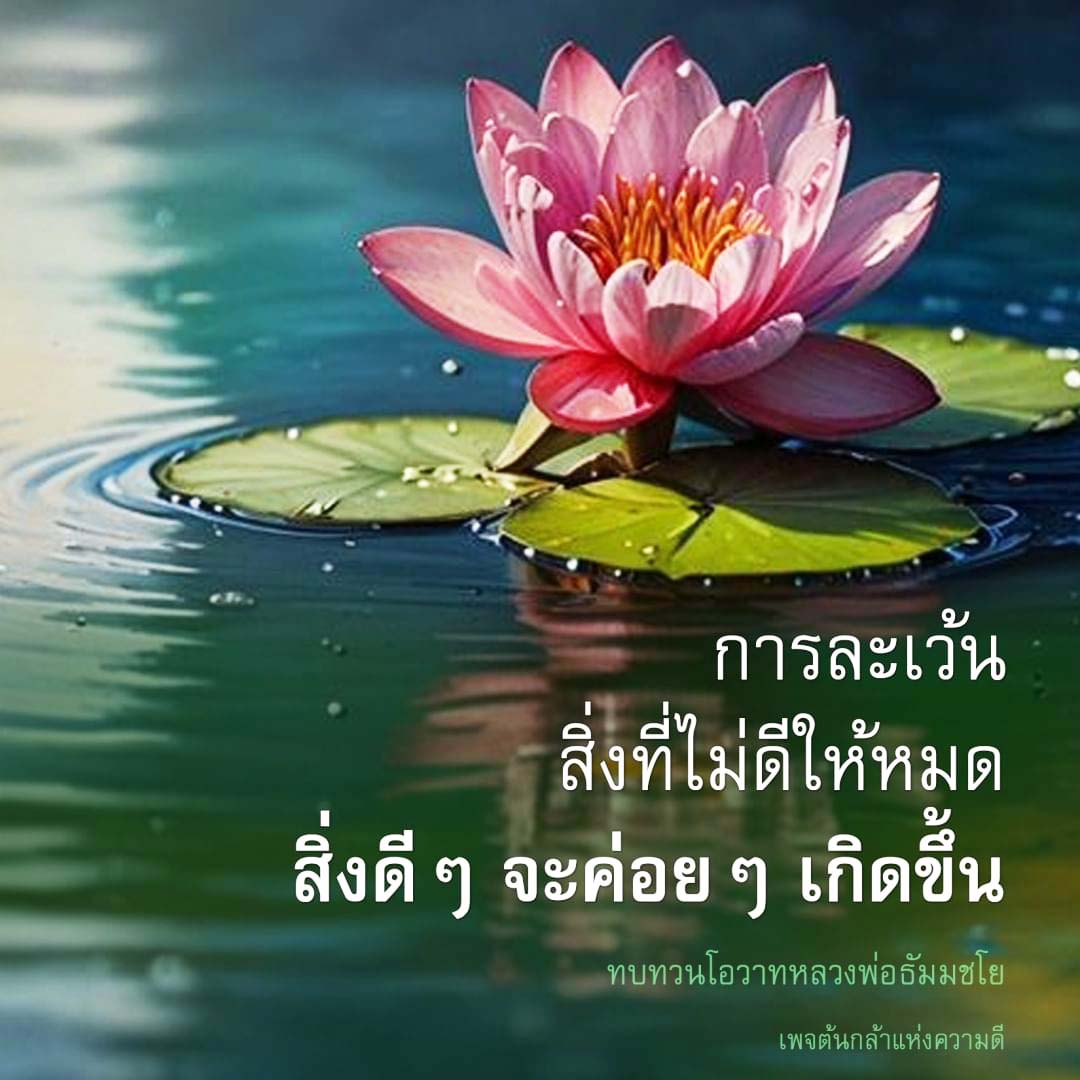 ค้นพบแนวทางการละเว้นสิ่งที่ไม่ดีเพื่อเปิดทางให้สิ่งดี ๆ เกิดขึ้นในชีวิต ผ่านการทบทวนโอวาทจากหลวงพ่อธัมมชโย ในเพจต้นกล้าแห่งความดี