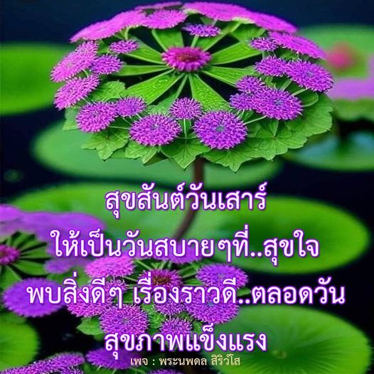 สุขสันต์วันเสาร์! มาร่วมสร้างวันสบายๆ ที่เต็มไปด้วยความสุขและสุขภาพแข็งแรง พบกับสิ่งดีๆ และเรื่องราวดีๆ ตลอดทั้งวันกับเพจ พระนพดล สิริวํโส