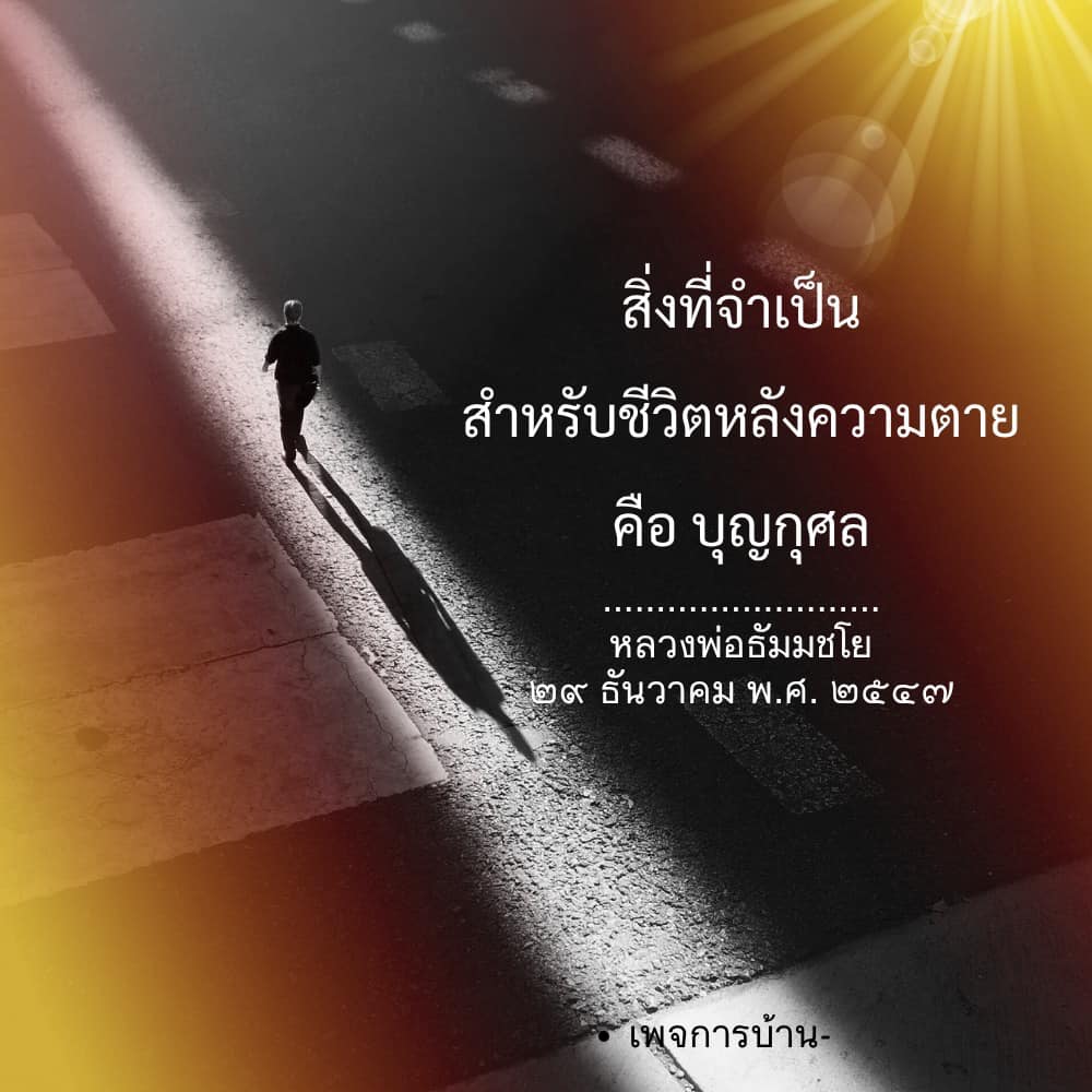 ภาพ No.16617:ทั่วไป