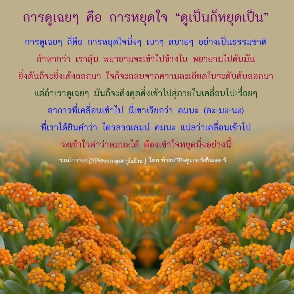 เรียนรู้เกี่ยวกับการดูเฉยๆ ที่เป็นการหยุดใจนิ่งๆ เบาๆ สบายๆ อย่างเป็นธรรมชาติ พร้อมเข้าใจคำว่า คมนะ และการปฏิบัติธรรมจากโอวาทคุณครูไม่ใหญ่ ที่ห้างทวีกิจซูเปอร์เซ็นเตอร์