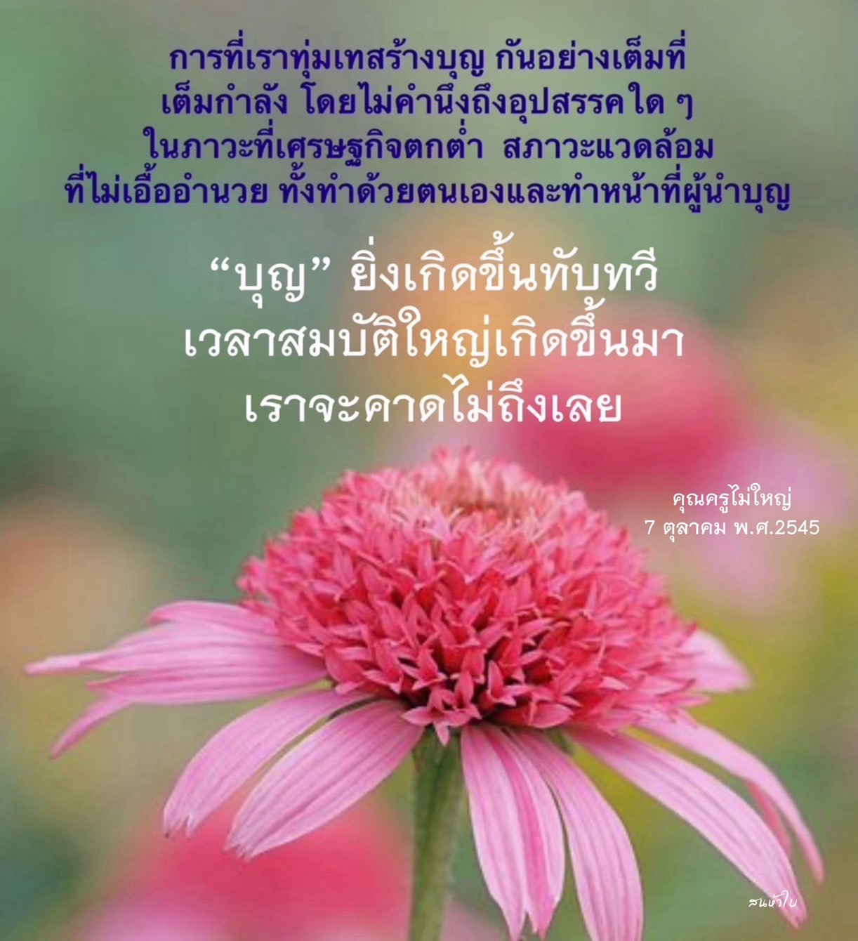 บทความนี้สำรวจการสร้างบุญในภาวะเศรษฐกิจตกต่ำ โดยเน้นวิธีการและความสำคัญของการทำบุญอย่างเต็มที่ แม้ต้องเผชิญกับอุปสรรคต่างๆ พร้อมทั้งบทเรียนจากคุณครูไม่ใหญ่ที่ชี้ให้เห็นถึงความสำเร็จที่ไม่คาดคิดจากการทำบุญ