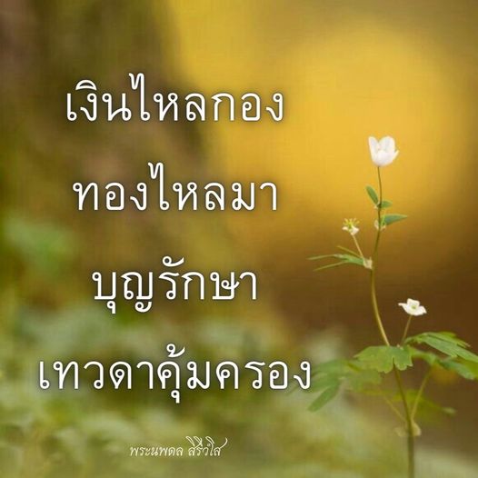 การ์ด No.9051:พระนพดล สิริวํโส