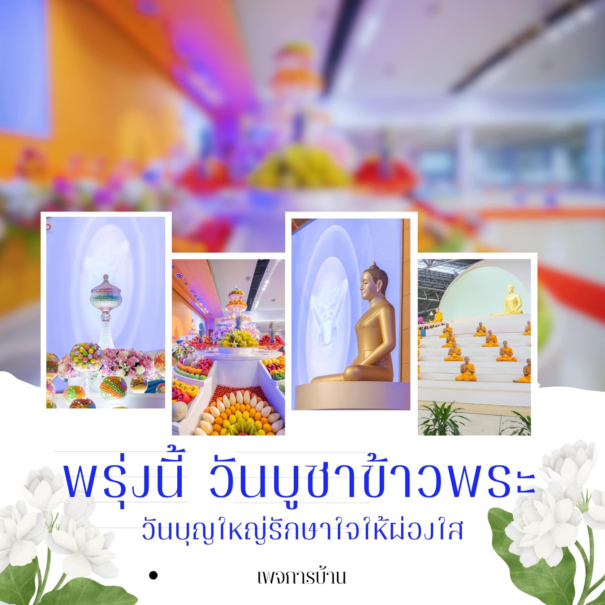 การ์ด No.14203:ทั่วไป
