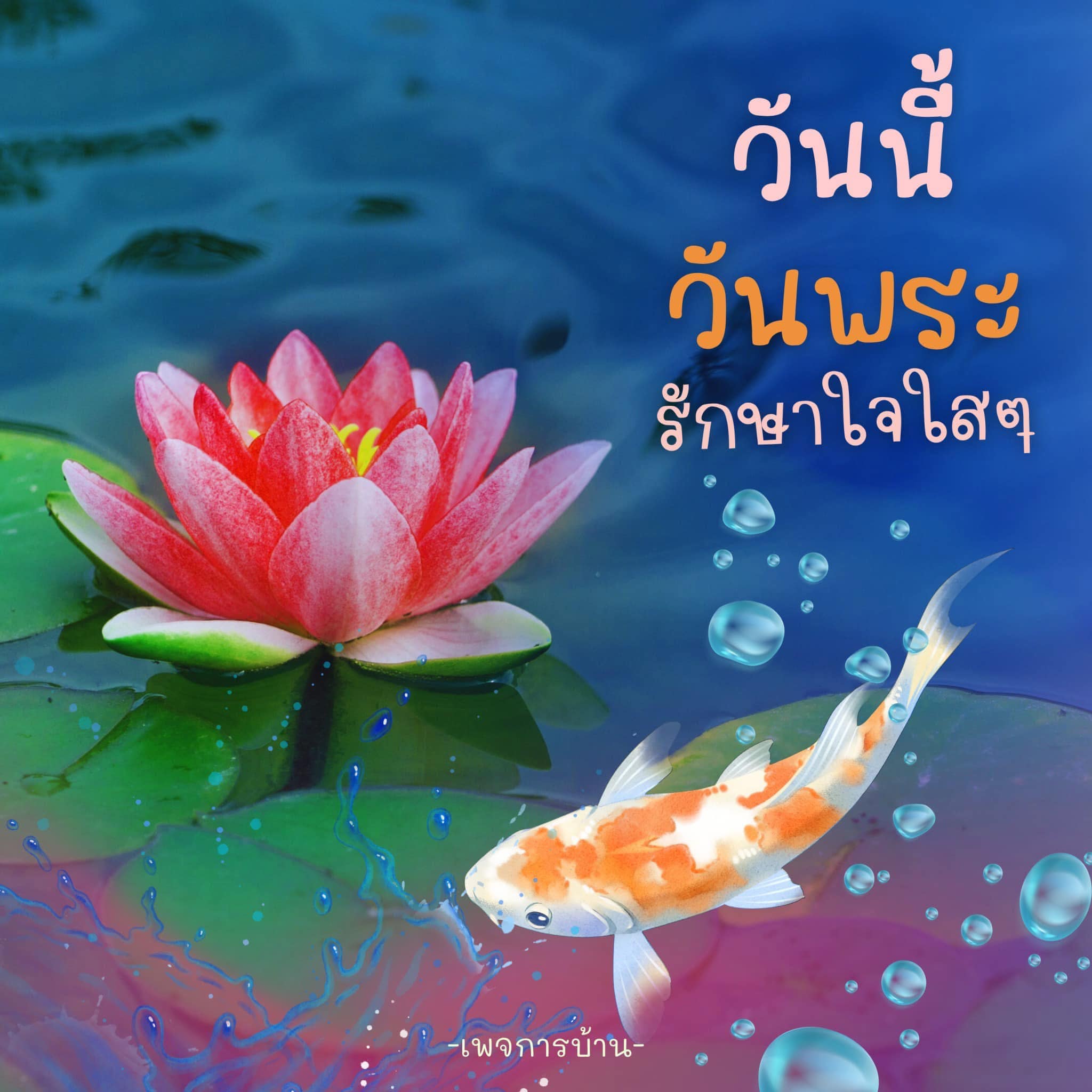 การ์ดคำสอนในพระพุทธศาสนา ทั่วไป