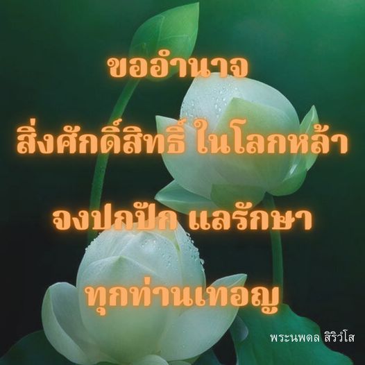 การ์ด No.11576:พระนพดล สิริวํโส