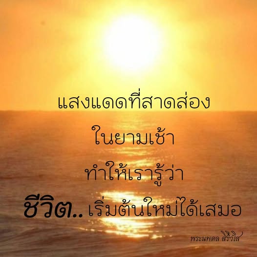 การ์ด No.12586:พระนพดล สิริวํโส