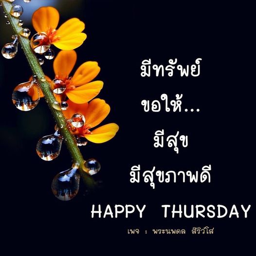 การ์ด No.9165:ภาพสวัสดียามเช้า