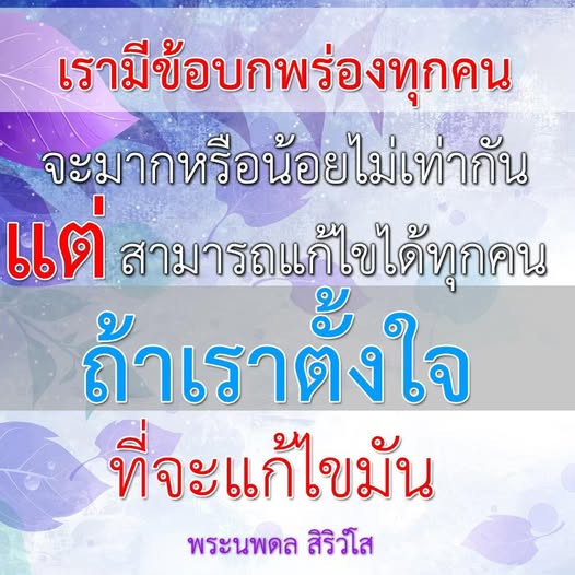 เรียนรู้วิธีการแก้ไขข้อบกพร่องในชีวิตและพัฒนาตนเองผ่านการตั้งใจและการทำงานหนัก โดยมีแนวคิดจากพระนพดล สิริวํโส