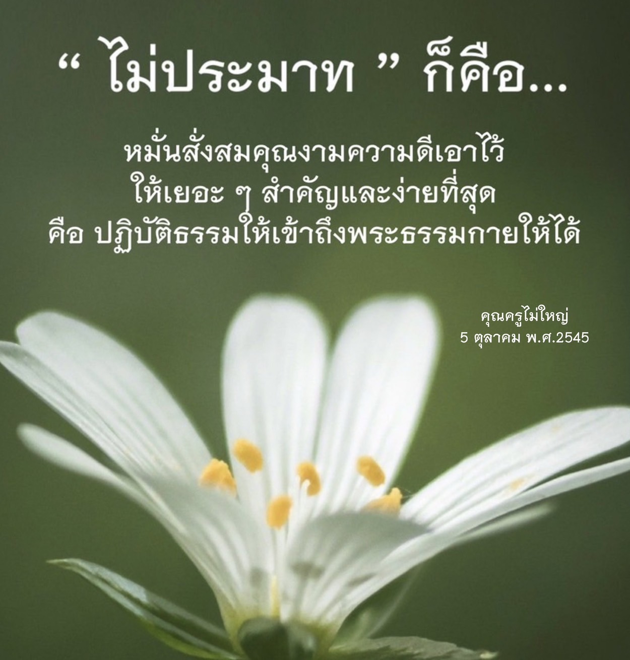 บทความนี้สำรวจแนวคิด 'ไม่ประมาท' และการสั่งสมคุณงามความดี โดยเน้นการปฏิบัติธรรมเพื่อเข้าถึงพระธรรมกาย พร้อมคำสอนจากคุณครูไม่ใหญ่ในวันที่ 5 ตุลาคม พ.ศ.2545