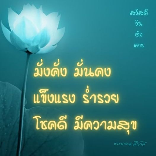 การ์ด No.8247:ภาพสวัสดียามเช้า