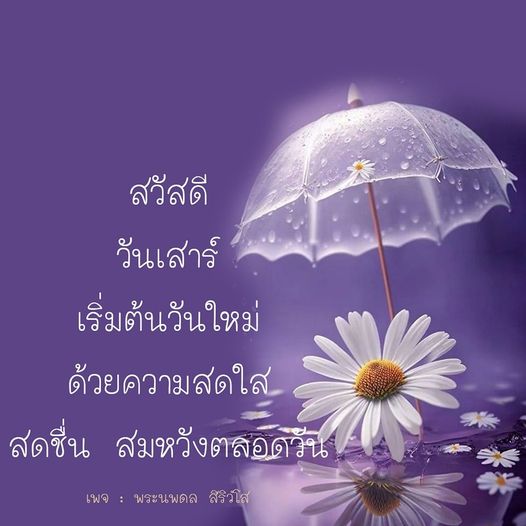 การ์ด No.9670:ภาพสวัสดียามเช้า