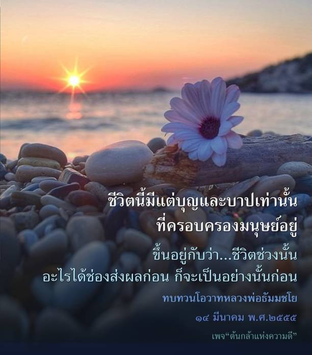 ค้นพบความหมายของชีวิตที่เต็มไปด้วยบุญและบาป พร้อมทบทวนโอวาทจากหลวงพ่อธัมมชโย ที่จะช่วยให้คุณเข้าใจถึงผลกระทบของการกระทำในชีวิตประจำวัน ผ่านเพจ 'ต้นกล้าแห่งความดี'