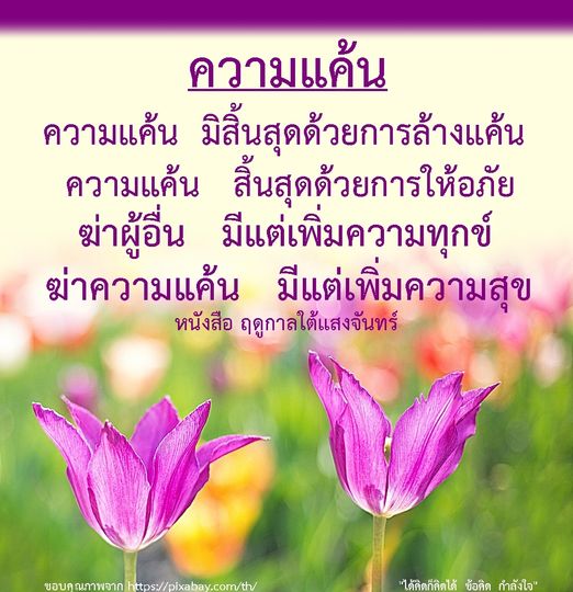 ค้นพบเส้นทางสู่การปลดปล่อยจากความแค้นและการให้อภัยในหนังสือ 'ฤดูกาลใต้แสงจันทร์' ที่จะช่วยให้คุณเข้าใจว่าการฆ่าความแค้นนั้นนำไปสู่ความสุขอย่างไร
