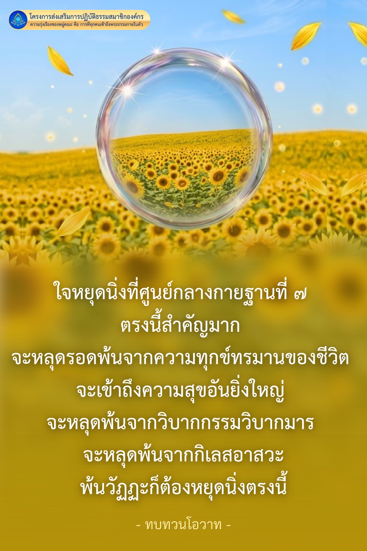 โครงการส่งเสริมการปฏิบัติธรรมสำหรับสมาชิกองค์กร