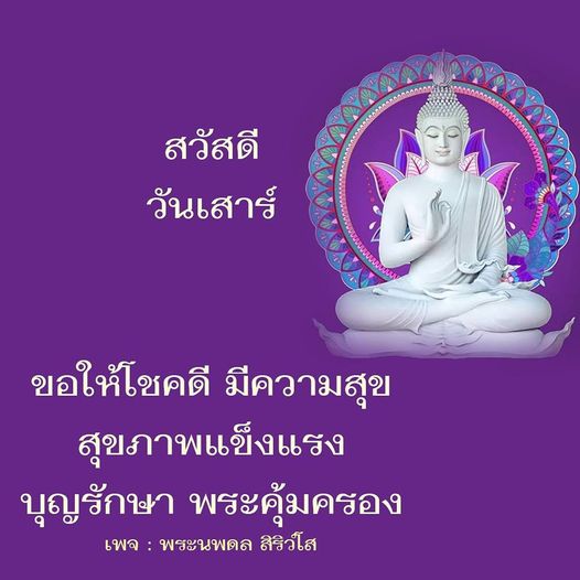 การ์ด No.11186:ภาพสวัสดียามเช้า