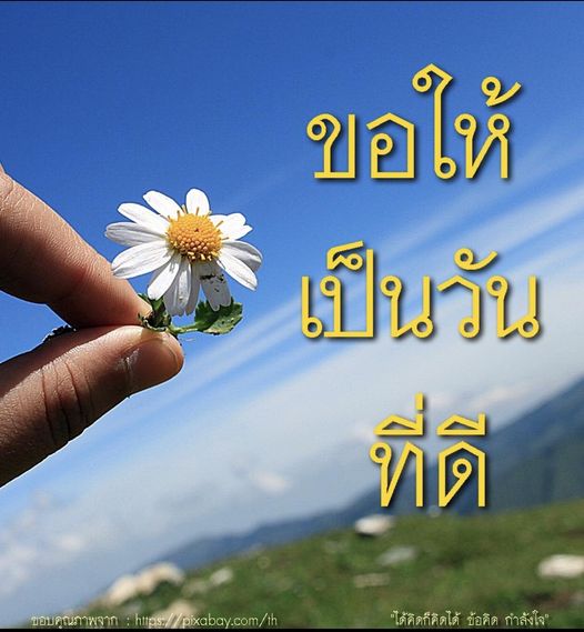 การ์ด No.9742:ภาพสวัสดียามเช้า