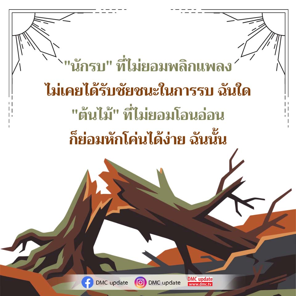 นักรบที่ไม่ยอมเปลี่ยนแปลง: บทเรียนจากธรรมชาติ