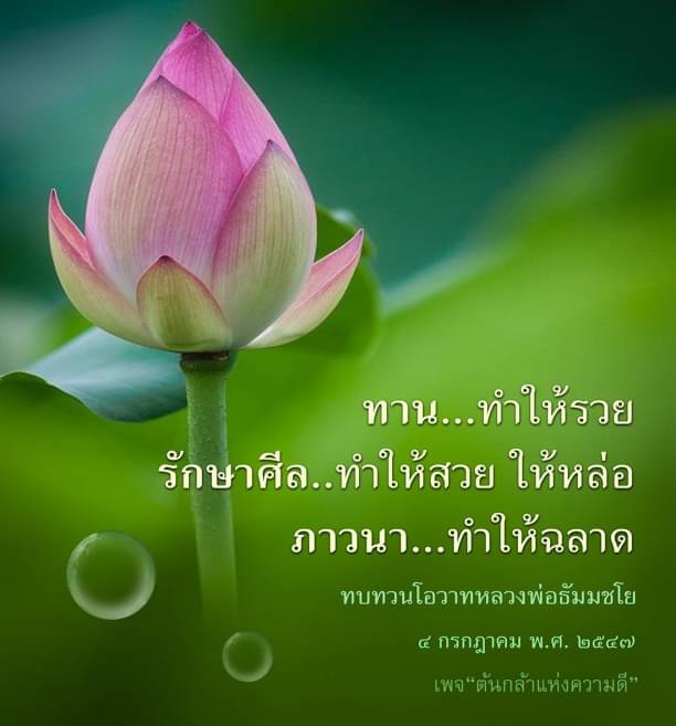 ค้นพบความสำคัญของการทาน รักษาศีล และภาวนา ที่จะนำคุณสู่ความร่ำรวย ความงาม และปัญญา พร้อมทบทวนโอวาทจากหลวงพ่อธัมมชโย ในเพจ 'ต้นกล้าแห่งความดี' ที่จะเปลี่ยนแปลงชีวิตคุณในทางที่ดีขึ้น