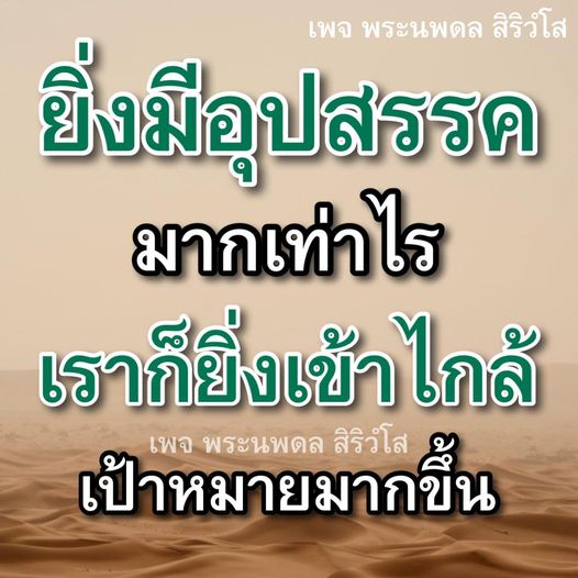 การ์ด No.8317:พระนพดล สิริวํโส