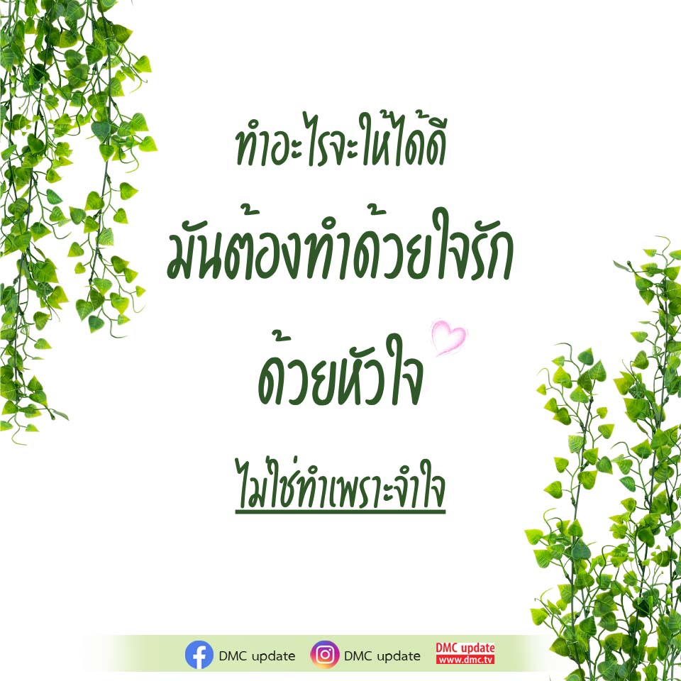 ภาพ No.16487:ทั่วไป